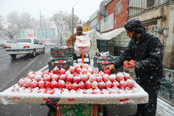 Beautiful Autumn snow whitens Zanjan