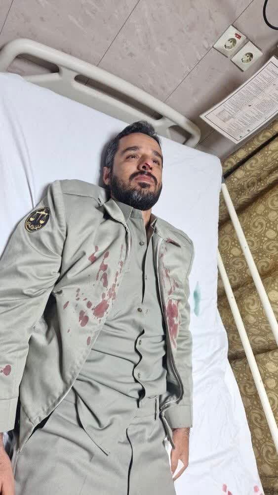 محیطبان کازرونی در عملیات حفاظت از بلوطها مجروح شد