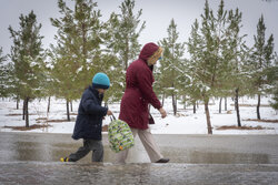 ارغوانی: اواسط هفته جاری کاشان یخ می‌بندد