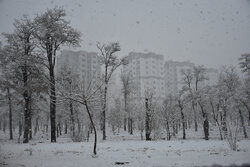 Snowfall in Iran's Arak