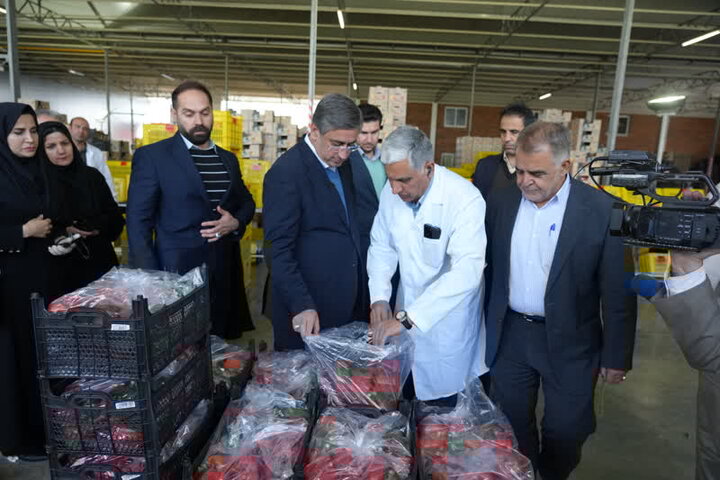 استاندار لرستان: کشت و صنعت به منطقه ویژه اقتصادی تبدیل میشود