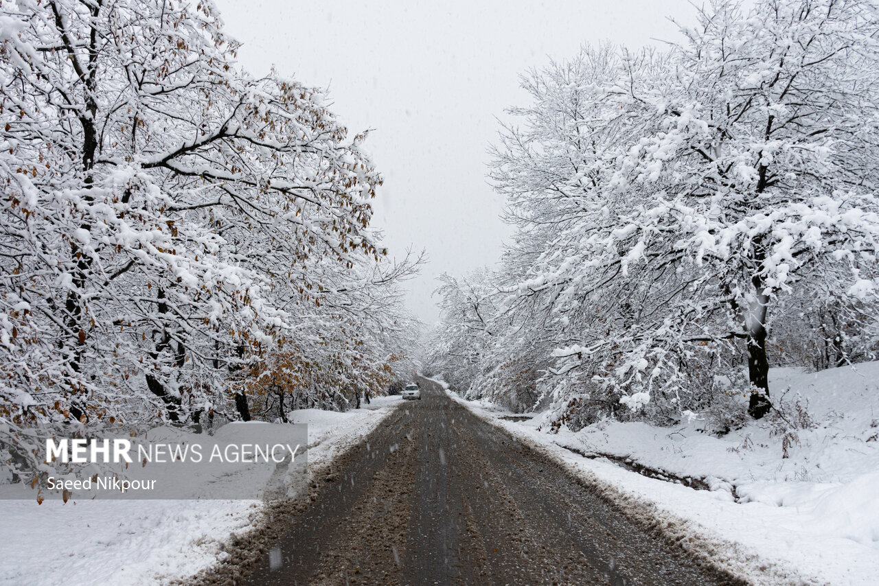 دادرس: ارتفاع برف در اشکورات رحیمآباد به ۶۰ سانتی متر رسید دادرس: ارتفاع برف در اشکورات رحیمآباد به ۶۰ سانتی متر رسید