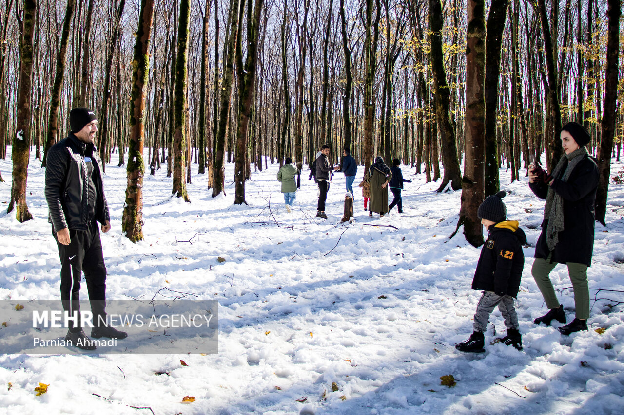 حال روز برفی مازندران؛ گاز وصل و برق کم آورد!