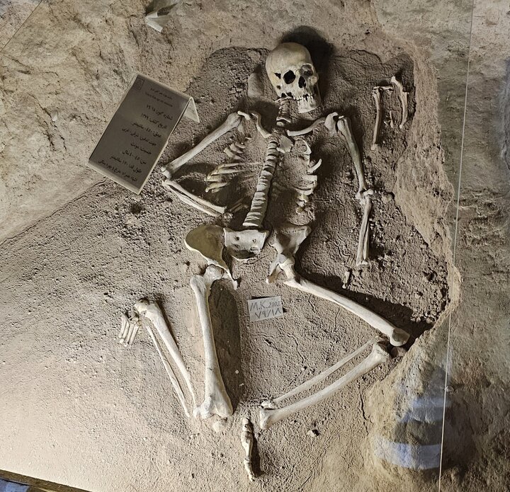 توقف ۲۰ ساله کاوش ها در گورستان عصرآهن+فیلم توقف ۲۰ ساله کاوش ها در گورستان عصرآهن+فیلم