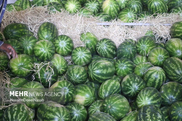 تطبیق «شب یلدا» با منطق روایات؛ یلدا فرصتی برای جبران کسریها در ارحام