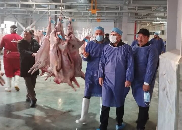 مدرن ترین کشتارگاه صنعتی خاورمیانه در ری به بهره برداری میرسد