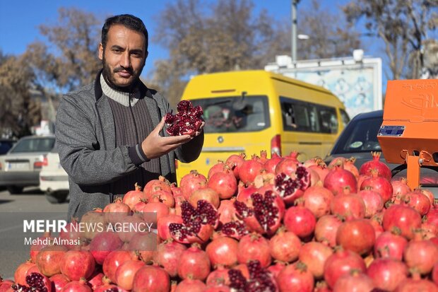 گرانی افسار گسیخته برای شب یلدا هم مهار نشد