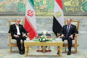 Iran. Egypt presidents meet to stress restoration of ties