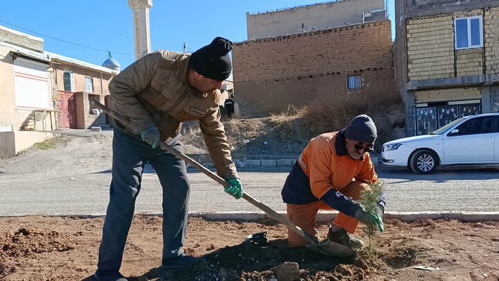 ۵۰ اصله نهال در دهگلان غرس شد