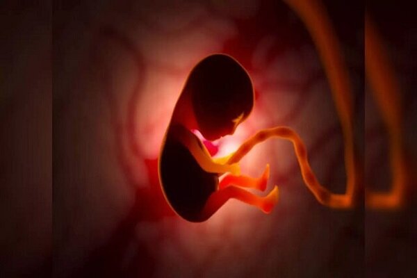 بررسی ابعاد حقوقی سقط جنین بررسی ابعاد حقوقی سقط جنین؛ مجازات دیه، حبس و ابطال پروانه پزشکی در انتظار پزشکان متخلف