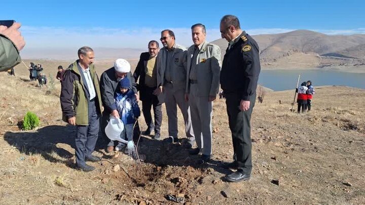 برگزاری پویش نهال کاری “در سایه مادر” در ده شهرستان استان همدان