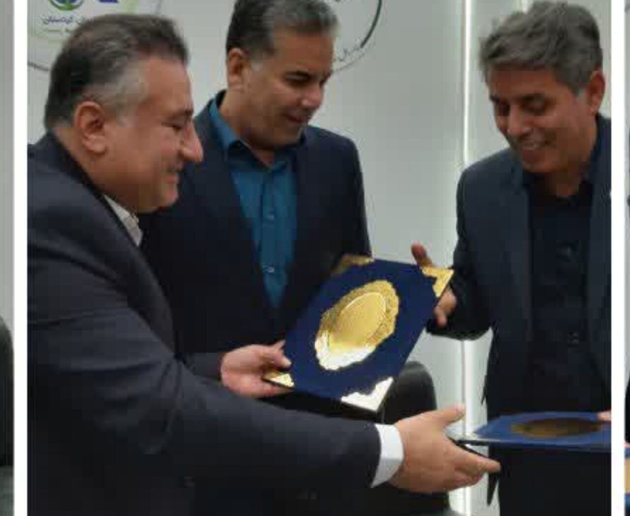 «قوچ و میش ارمنی» در کردستان حمایت میشوند