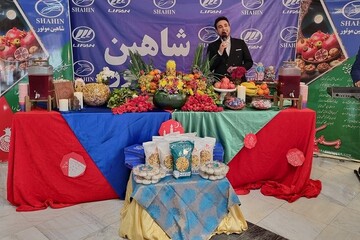 شاهین موتور سفیر شادی در خانه سالمندان