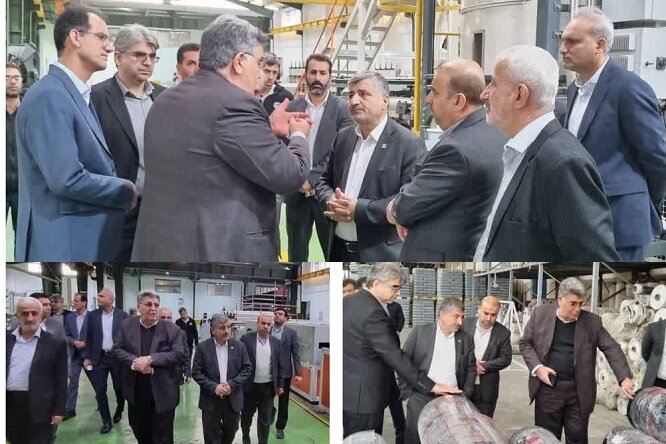 گمرک از صنایع تولیدی استان بوشهر حمایت میکند