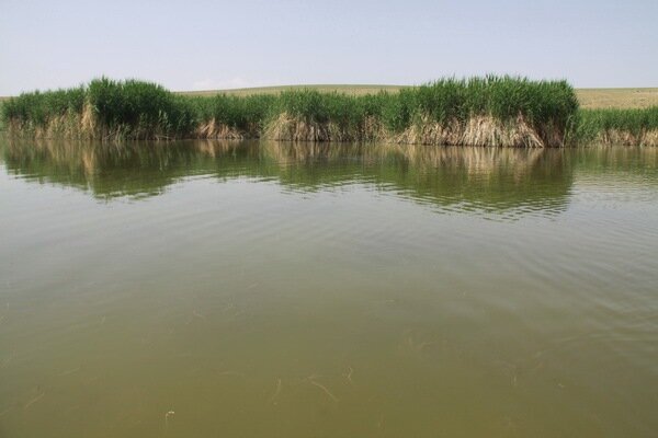 تالاب،آب،آبگيري،پرندگان،طالقان،مترمكعب،آبزي،مهاجر