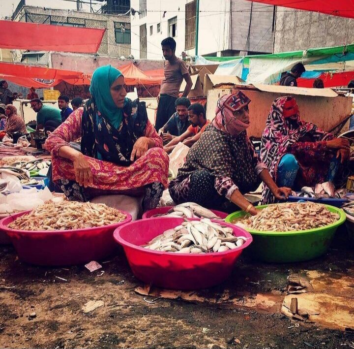 مرکز عرضه میوه و ترهبارِ بازار بندرعباس در شان مردم نیست؛ لزوم رسیدگی به الزامات بهداشتی