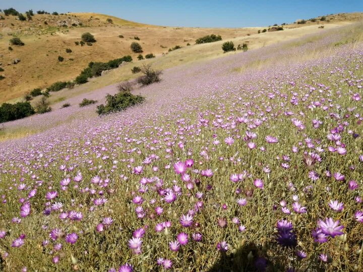 روایتی از محرومیتی عمیق در «ایتیوند»؛ منطقه‌ای که چشم به راه شکوفایی است