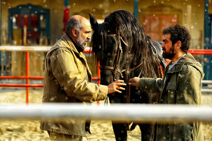 جنجالهای اسکار تنها مصرف داخلی دارد؛ «ناتوردشت» انتخابی انسانیتر بود