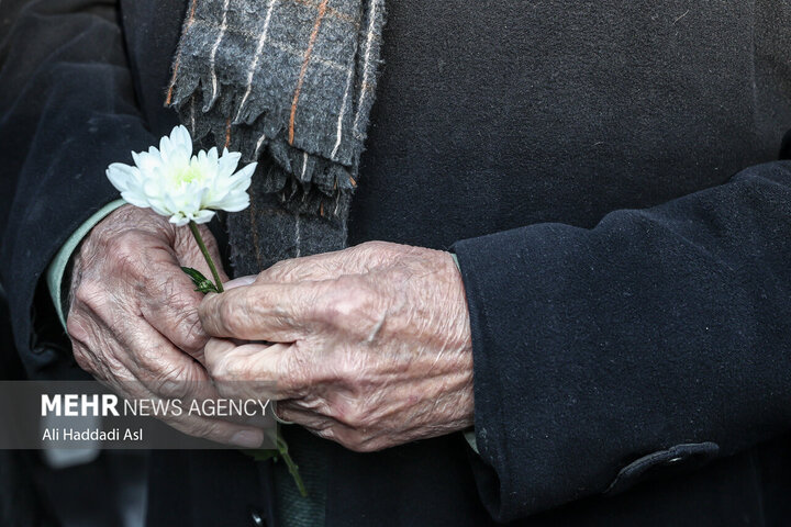 اهالی موسیقی این ۲۴ نفر را فراموش نمیکنند؛ در غم فانوسهای روشن
