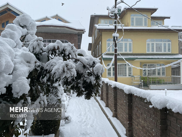 بارش برف در کشمير ھند