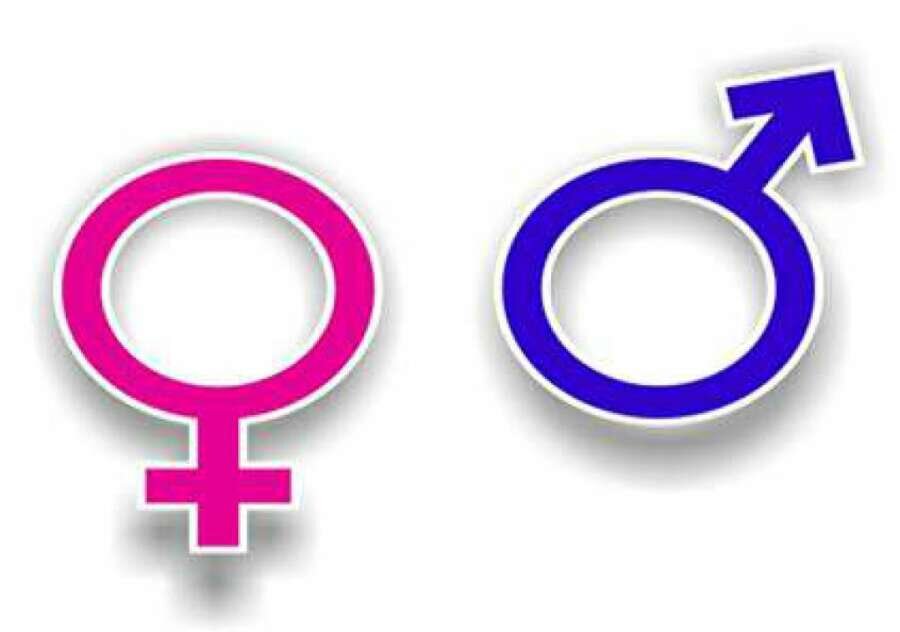 فلسفه،اسلامي،جنسيت،حضوري