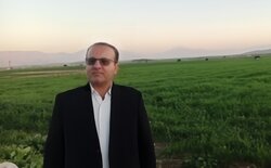 شعبه پژوهشکده هسته ای کشاورزی در یاسوج فعال می شود؛ احداث سامانه پرتو تابی