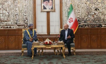 Iran Parliament Speaker receives Omani FM