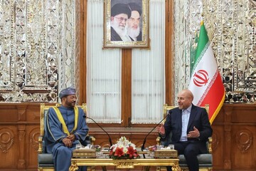 Oman FM, Iran parl. speaker discuss mutual, regional issues