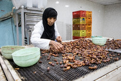 ۹ هزار متر مربع فرش و گلیم مددجویان اردبیل وارد چرخه اقتصادی شده است