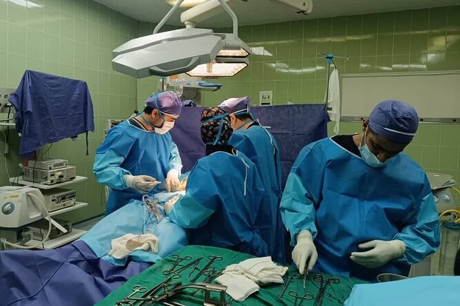 «شیراز» قطب پیوند اعضا با ۱۶ هزار عمل؛ جنگ هم پیوند عضو را تعطیل نکرد