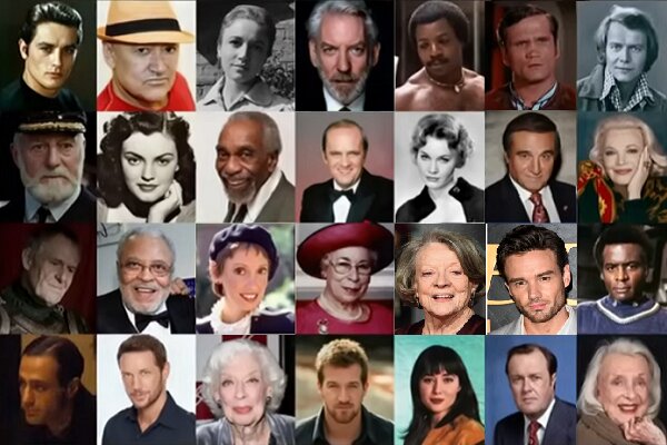 ستارههایی که سال ۲۰۲۴ خاموش شدند