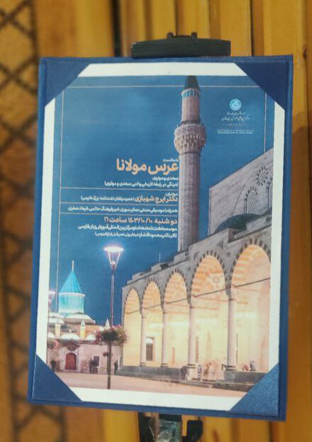 دلدادگی سعدی به مولانا رؤیاپردازی مریدان است 3