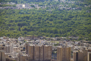 سیل ویرانگر تخریب باغات شیراز در طی سالیان گذشته