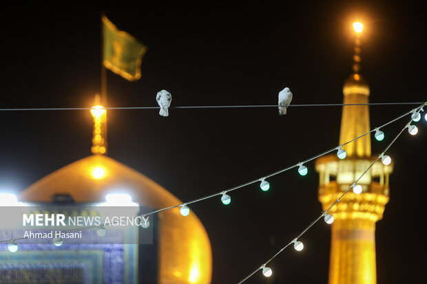 حال و هوای حرم مطهر رضوی در شب میلاد امام محمد باقر (ع)