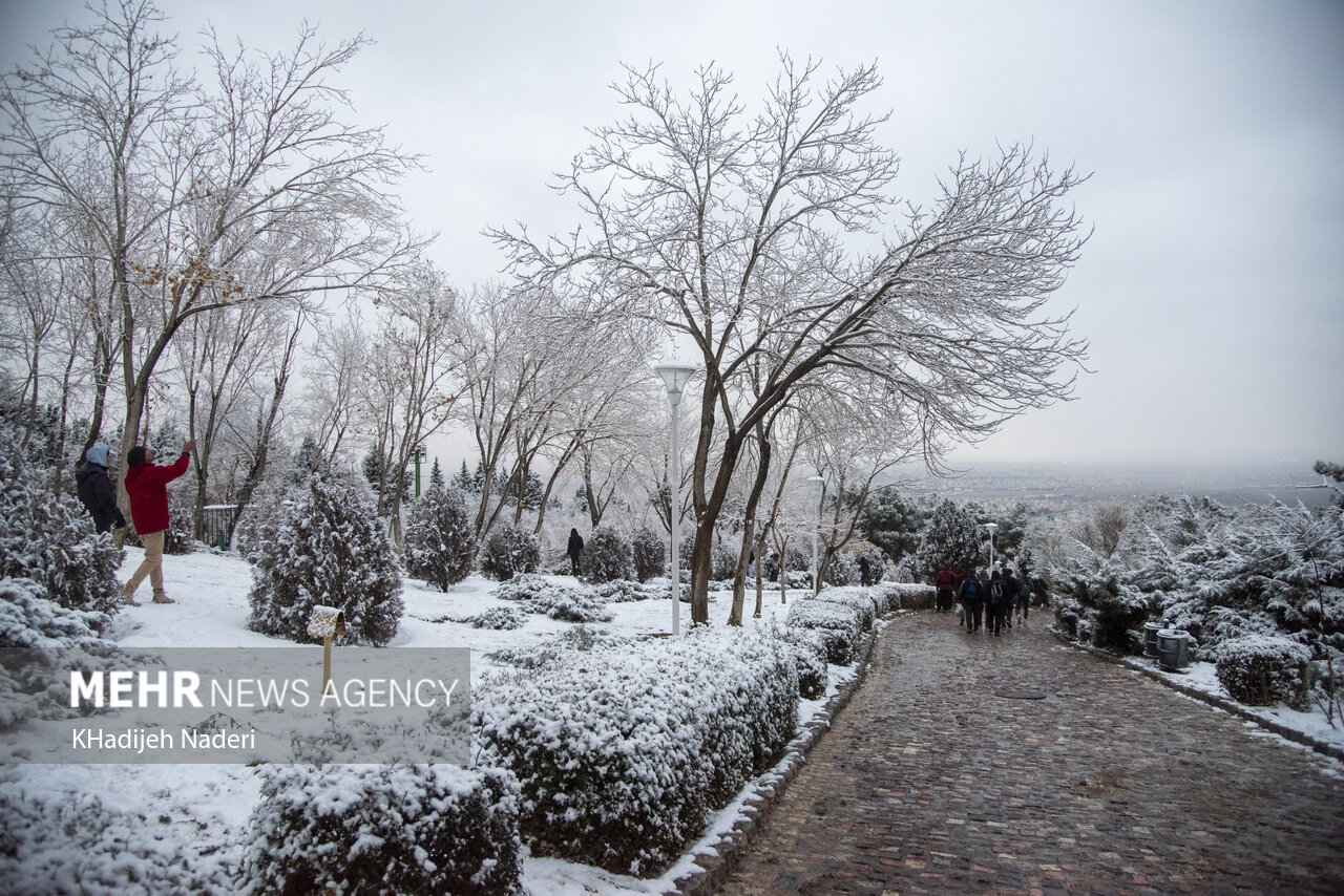 استان،سلسيوس،دماي،صفر،درجه