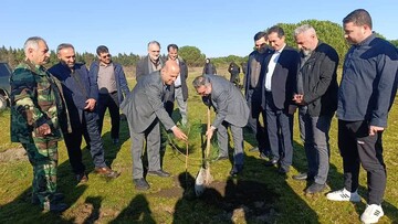 ۶۳ نهال به نیت عمر پر برکت شهید سلیمانی در آستارا غرس شد