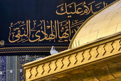 ویژه‌برنامه‌های عزاداری شهادت امام هادی (ع) در حرم رضوی اعلام شد