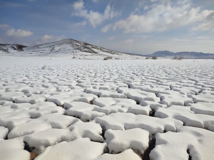 جلوههای زیبای برف بر قامت استان یزد