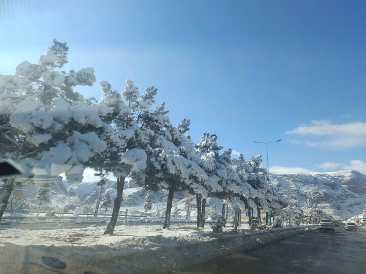 جلوه‌های زیبای برف بر قامت استان یزد