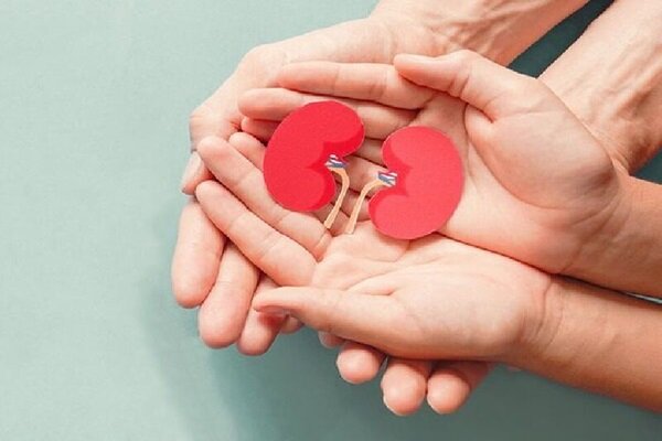 اهدای عضو گردشگر جوان در کیش اهدای عضو گردشگر جوان در کیش