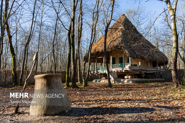 موزهگردی در گیلان؛ بازدید از تنها موزه زنده تا چای ایران موزهگردی در گیلان؛ بازدید از تنها موزه زنده تا چای ایران
