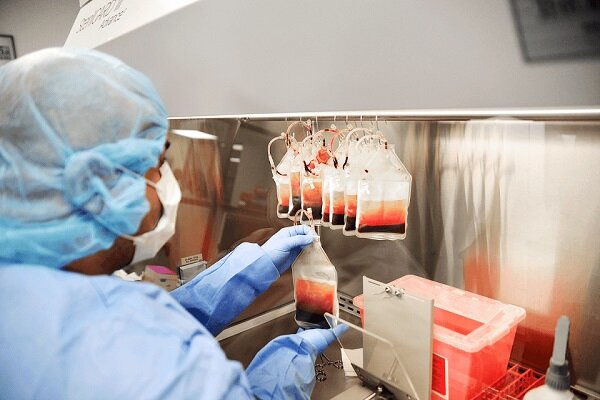 بانك،خون،ناف،بند،بنيادي،رويان،نمونه،شركت،بندناف،محصول،فناوري ...