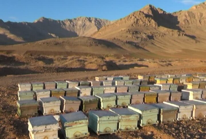 «خاوه» در مسیر توسعه/ وقتی مردم پایکار میآیند