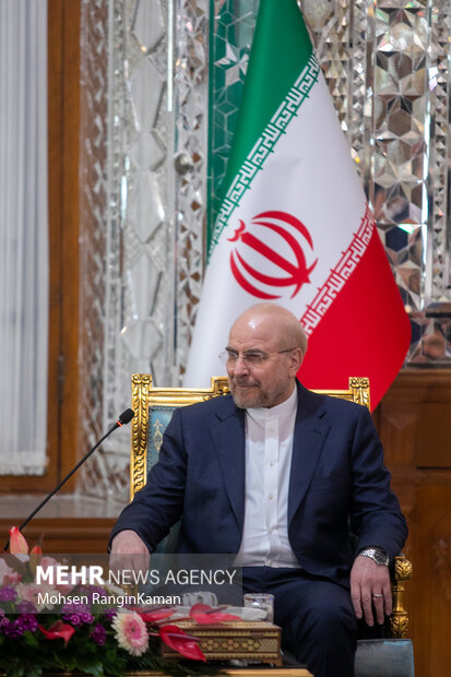 دیدار نخست وزیر عراق با رئیس مجلس شورای اسلامی 3