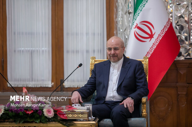 دیدار نخست وزیر عراق با رئیس مجلس شورای اسلامی 10