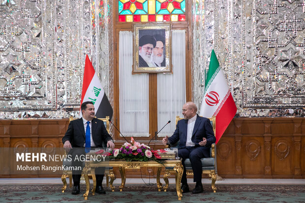 دیدار نخست وزیر عراق با رئیس مجلس شورای اسلامی 12