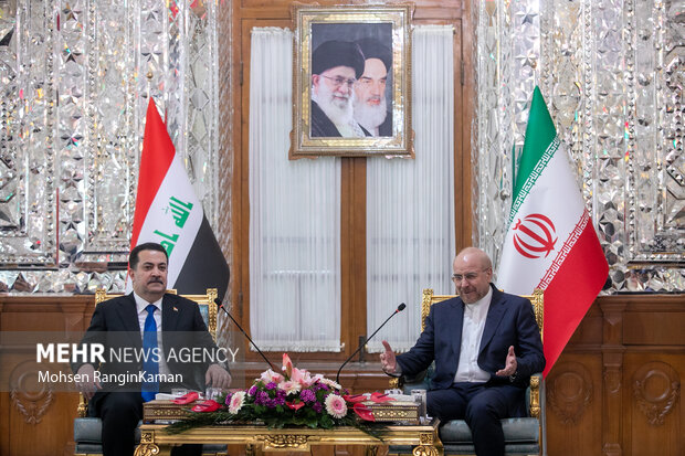 دیدار نخست وزیر عراق با رئیس مجلس شورای اسلامی 6