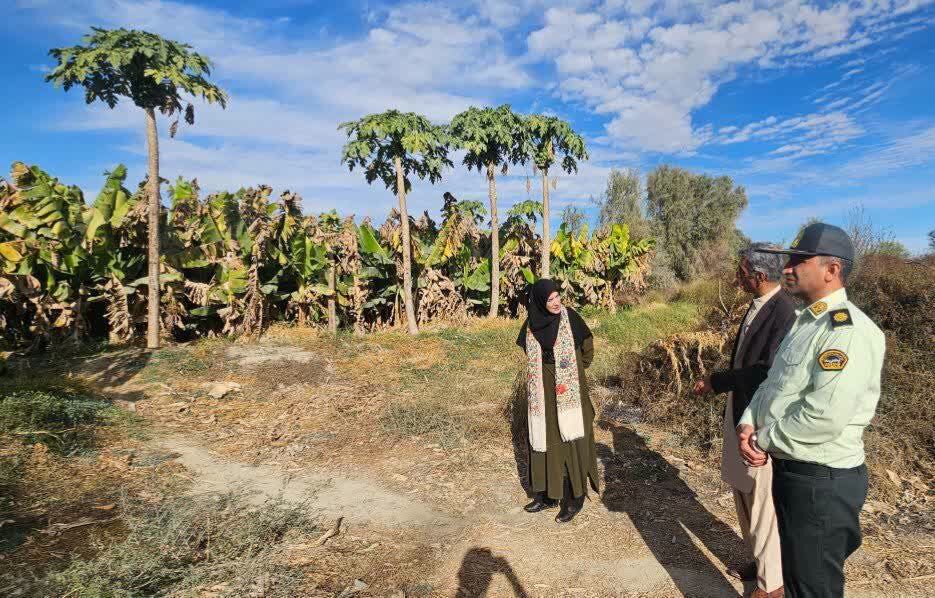 زرآباد،دستي،گردشگري،شهرستان،صنايع،جلالي