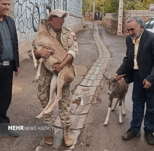 ماجرای چالان و چولان؛ محیط‌زیست اصفهان از باغ پرندگان قمصر شکایت کرد