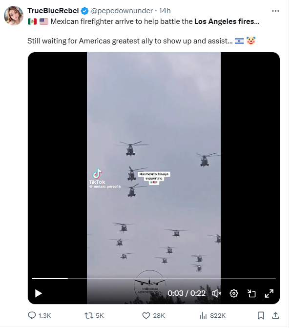 موج ناامیدی کاربران آمریکایی «ایکس» از ناکارآمدی مسئولان؛ در جهنم لسآنجلس تنها ماندیم!